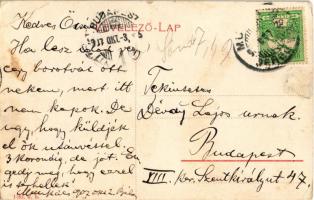 1907 Munkács, Mukacheve, Mukachevo, Mukacevo; Városháza, Pannónia könyvnyomda, Rochlitz Róza, Grünfe...