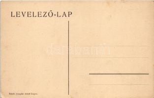 Lugos, Lugoj; Poporul palota, Sternlicht Manó üzlete. Auspitz Adolf kiadása / palace, shop of Sternl...