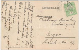 1912 Élesd, Alesd; Magaslak, Gróf Zichy Rafael kastélya / Poiana Florilor, castle (fl)