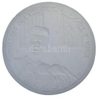 Fülöp Zoltán (1951-2004) DN "Az Egyesült Államok 35. elnöke / John F. Kennedy: Ich bin ein Berliner, 1963. június 26." emlékérem gipsz előlapi NEGATÍV nagyminta (197mm) T:AU Hungary ND "35th President of the United States of America / John F. Kennedy: Ich bin ein Berliner, June 26, 1963" medal's obverse NEGATIVE large plaster sample (197mm) C:AU