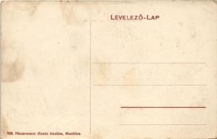 Munkács, Mukacheve, Mukachevo, Mukacevo; Gróf Schönborn kastély bejárata. Niedermann kiadása / castl...