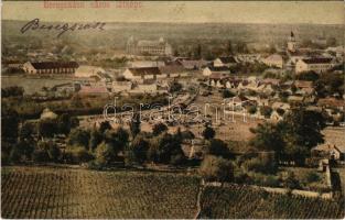 Beregszász, Beregovo, Berehove; látkép, piac / general view, market (fl)