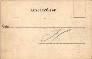 Beregszász, Beregovo, Berehove; látkép, piac / general view, market (fl)