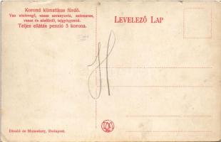 Korond, Corund; Fürtösvár villa / villa (apró szakadás / tiny tear)