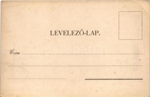 Rozsnyó, Roznava; Püspöki székház. Sajó-Vidék kiadása / bishop's residence, villa (EB)