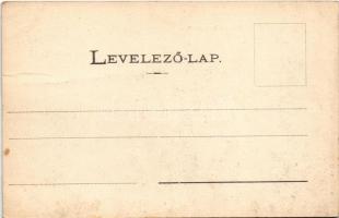 Csíz, Csízfürdő, Kúpele Cíz; Horváth nyaraló. Rábely Miklós kiadása / villa. Art Nouveau (gyűrődés /...