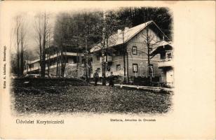Koritnyica, Korytnica; Stefánia, Amerika és Orvos lak, nyaralók. Kohn A. kiadása / villas (fl)