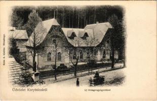 Koritnyica, Korytnica; Új hidegvízgyógyintézet, fürdő. Kohn A. kiadása / spa, new bathhouse