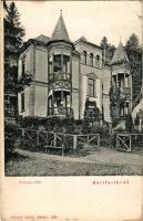 Bártfa, Bártfafürdő, Bardejovské Kúpele, Bardiov, Bardejov; Ferencz villa. Divald Adolf 190. / villa...