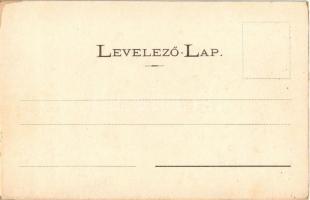 Bártfa, Bártfafürdő, Bardejovské Kúpele, Bardiov, Bardejov; Ferencz villa. Divald Adolf 190. / villa...