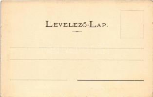 Bártfa, Bártfafürdő, Bardejovské Kúpele, Bardiov, Bardejov; Erzsébet királyné szálloda és gyógyház. ...