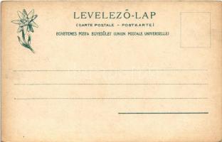 Késmárkiitató, Kezmarské Zlaby (Tátralomnic, Magas-Tátra, Vysoké Tatry); Késmárki itató, turistaház,...