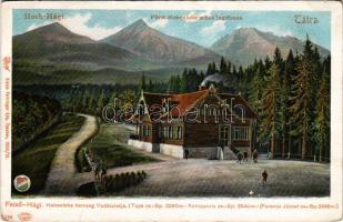 Felsőhági, Visne Hagy, Vysné Hágy (Magas-Tátra, Vysoké Tatry); Hohenlohe herceg vadászlakja, kastély...