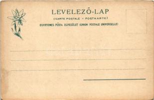 Felsőhági, Visne Hagy, Vysné Hágy (Magas-Tátra, Vysoké Tatry); Hohenlohe herceg vadászlakja, kastély...