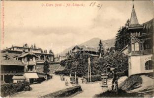 Tátrafüred, Ótátrafüred, Altschmecks, Stary Smokovec (Magas Tátra, Vysoké Tatry); kávéház, étterem, ...