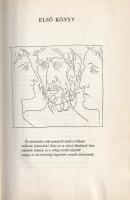 Ovidius, Publius Naso: Átváltozások. Metamorphoses. Fordította Devecseri Gábor, illusztrálta Pablo P...