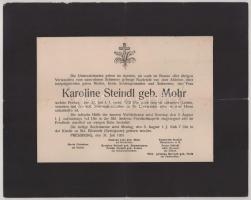 1931 Pozsony, Karoline Steindl (szül. Mohr) halotti értesítője, sérülésekkel, 23x29 cm