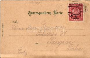 1918 Hermagor, Hermagor-Pressegger See; Gailtalerin, Zuchen-Wasserfall, Pressegger See. Kunstanstalt...