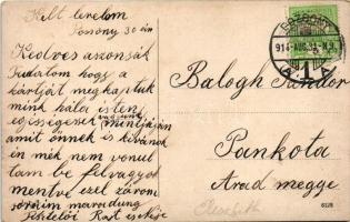 1914 Elisabeth lapátkerekes gőzhajó Pozsonynál a vár előtt / "Elisabeth" passenger paddle ...