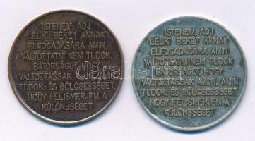 2000 k. Anonim alkoholisták, drog- és játékfüggők felépülésének mérföldkő zsetonjai kapszulában. &qu...