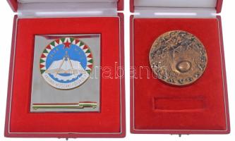 Tartalmas Magyar Néphadsereg tétel, benne: Öt darab Zalka Máté Katonai Főiskola zománcfestett plaket...