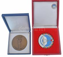 Tartalmas Magyar Néphadsereg tétel, benne: Öt darab Zalka Máté Katonai Főiskola zománcfestett plaket...