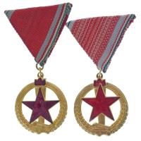 1956. "Tűzbiztonsági Érem arany fokozata" (2xklf) zománcozott, aranyozott bronz kitüntetés (korábbi kiadás), illetve műgyantás, aranyozott bronz kitüntetés (későbbi kiadás), mindkettő eredeti mellszalagon T:AU NMK 564