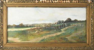 Boldizsár István (1897-1984): Táj legelésző birkákkal. Olaj, vászon, jelezve jobbra lent. Restaurált. Dekoratív, sérült fakeretben, vakrámán Wawrusa János üveges és képkeretező 1960-80 körüli bélyegzésével (Bp., Lenin krt. 23). 25×55,5 cm.