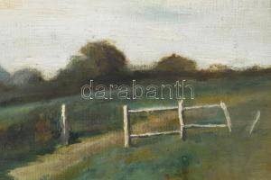 Boldizsár István (1897-1984): Táj legelésző birkákkal. Olaj, vászon, jelezve jobbra lent. Restaurált...