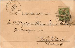 1903 Debrecen, Batthyányi utca, Piukovits üzlete. Csáthy Ferenc kiadása