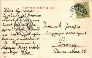 1907 Hajdúszoboszló, Pavillon, izraelita templom, zsinagóga + "KIRÁLYHÁZA - BUDAPEST 20" v...