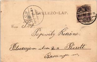 1900 Nagybecskerek, Zrenjanin, Veliki Beckerek; Kerékpáros felvonulás. Grcsits és Kralyev kiadása / ...