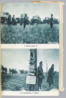 Görgey Vince, vitéz: Hajrá páncélosok! Egy magyar páncélos naplója. A szovjet elleni hadjárat 120 na...