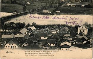 1904 Halych, Halicz, Halics (Galizien); Widok na Dniester ze swiatynia Karaitów / Totalanischt mit Karaitentempel / general view with Karaite Jewish synagogue (kenesa) (EK)