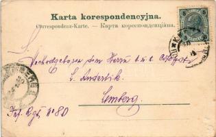 1904 Halych, Halicz, Halics (Galizien); Widok na Dniester ze swiatynia Karaitów / Totalanischt mit K...