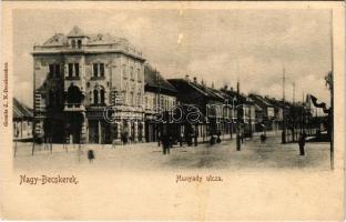 Nagybecskerek, Zrenjanin, Veliki Beckerek; Hunyady utca, Kelemen, Tolveth Károly, Weiterschan, Wasse...