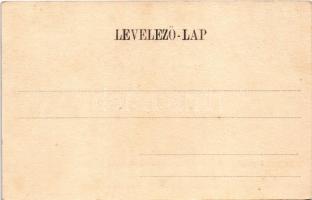 Nagybecskerek, Zrenjanin, Veliki Beckerek; Hunyady utca, Kelemen, Tolveth Károly, Weiterschan, Wasse...