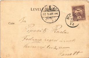 1901 Nagykikinda, Kikinda; Vodica-liget, Cséplés gőzgéppel / Wodicza-Hain, Drusch / spring source, s...