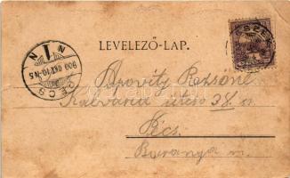 1900 Gombos, Bogoja, Bogojevo; Erdődi várrom, Komp a nyílt Dunán. Szecessziós-virágos keret / Erdődi...