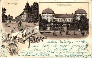 1901 Pápa, M. kir. dohánygyár, Gr. Eszterházy kastély. Franz Appelfeld Art Nouveau, floral, litho (E...