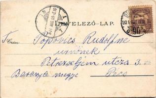 1901 Pápa, M. kir. dohánygyár, Gr. Eszterházy kastély. Franz Appelfeld Art Nouveau, floral, litho (E...