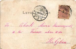 1899 Budapest XII. Zugliget, Ferencsik villa, nyaraló. Divald Károly 181. sz. (EM)