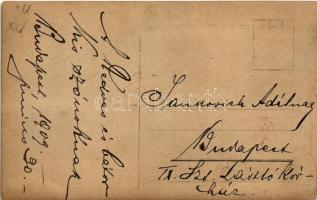 1909 Gerlóczy Zsigmond. photo (fl)