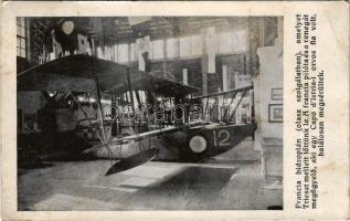 1917 Francia hidroplán (olasz szolgálatban), amelyet Trieszt mellett lőttünk le. A francia pilóta és a renegát megfigyelő, aki egy Capo d'Istria-i orvos fia volt, halálosan megsérültek / WWI Austro-Hungarian Navy, K.u.K. Kriegsmarine. Shot down French seaplane (hydroplane), naval aircraft + "Hadirepülő kiállítás Budapest 1917" So. Stpl. (EB)