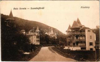Szováta, Sovata; Fősétány, nyaralók. Vas Jenő kiadása / spa promenade, villas (EB)