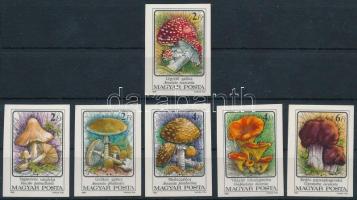 1986 Gombák vágott sor