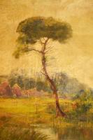 Mihalik Dániel (1869-1910): Vízparti tanya. Olaj, vászon, jelezve jobbra lent. Javított. Kisebb sérü...