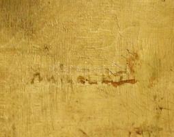 Mihalik Dániel (1869-1910): Vízparti tanya. Olaj, vászon, jelezve jobbra lent. Javított. Kisebb sérü...