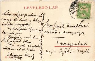 1908 Zsombolya, Hatzfeld, Jimbolia; Gróf Csekonics kastélya, Szent Flórián szobor. W.L. 424. / castl...