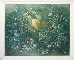 Máriási Masznyik Iván (1928-1997): A tenger mélységeiben. Olaj, farost, jelezve balra lent, hátoldalon Máriási Masznyik Iván autográf feliratával. Fakeretben, 65×80 cm